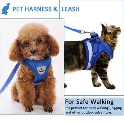 Arnés para gatos ajustable, transpirable y luminoso