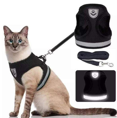 Arnés para gatos ajustable, transpirable y luminoso