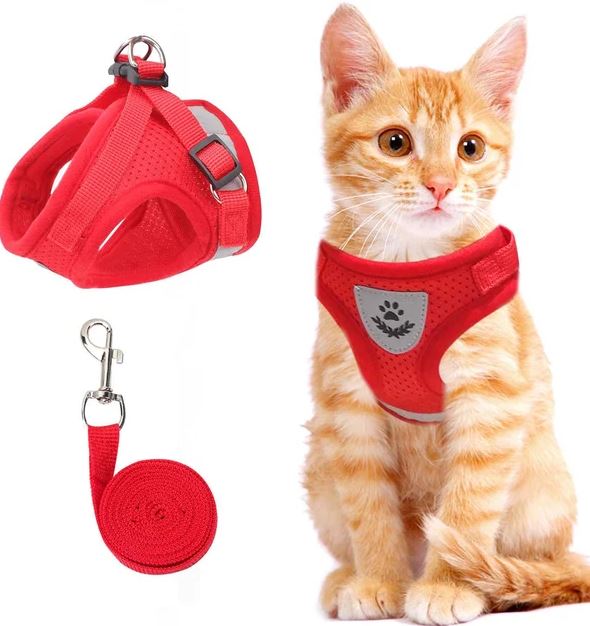 Arnés para gatos ajustable, transpirable y luminoso