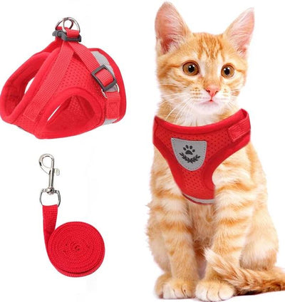 Arnés para gatos ajustable, transpirable y luminoso