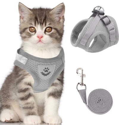 Arnés para gatos ajustable, transpirable y luminoso