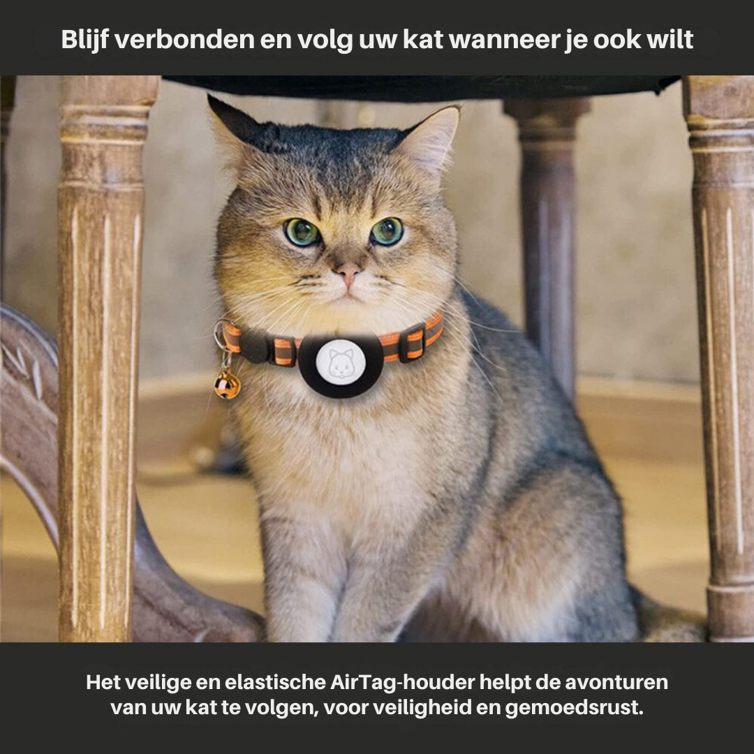 Colar de rastreamento de GPS de gato com fechamento rápido e design reflexivo para melhorar a visibilidade noturna