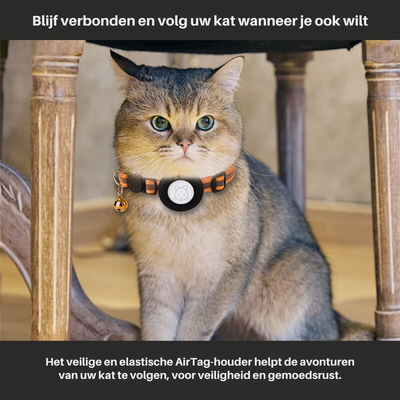 Colar de rastreamento de GPS de gato com fechamento rápido e design reflexivo para melhorar a visibilidade noturna