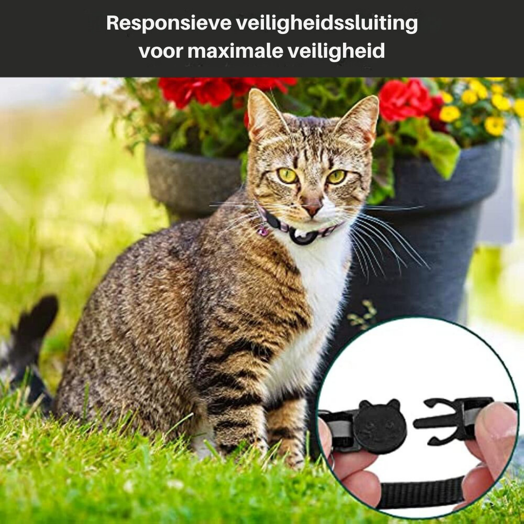 Colar de rastreamento de GPS de gato com fechamento rápido e design reflexivo para melhorar a visibilidade noturna