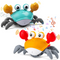 Cangrejo reptante