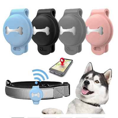 Caspar | Dispositivo GPS de cachorro - Saiba onde está seu amigo de quatro pernas
