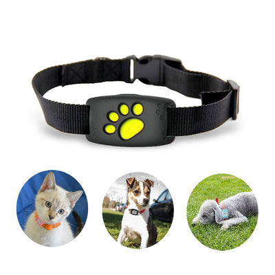 Collar GPS para mascotas - sin suscripción y resistente al agua
