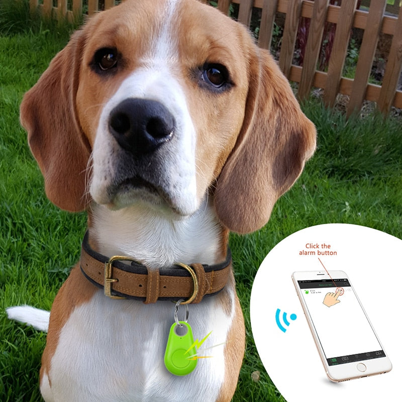 Tag GPS para animais de estimação - Pawfinder